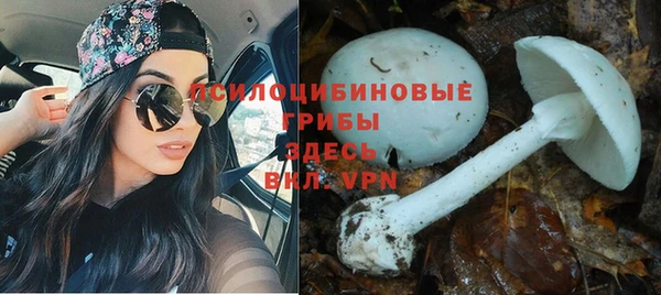 мяу мяу кристалл Алзамай