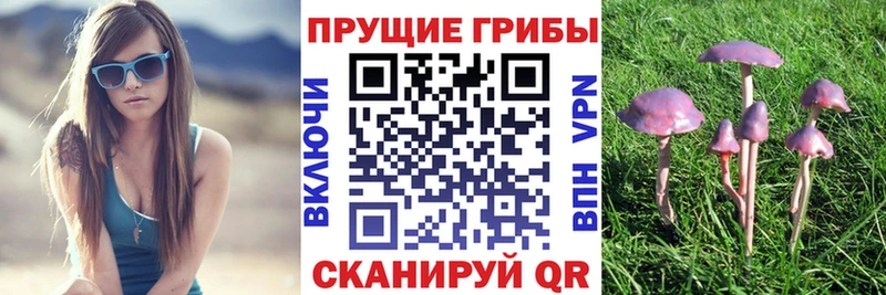 Галлюциногенные грибы прущие грибы  купить наркотики сайты  Ирбит 