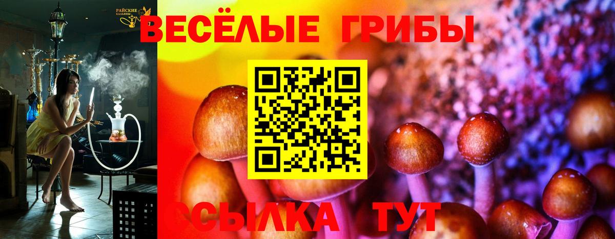 Псилоцибиновые грибы Psilocybine cubensis Ирбит